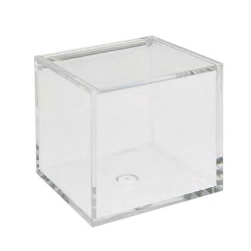 scatoline in plexiglass 8x8x8