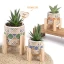 ⚡OFFERTISSIMA Bomboniere 2027 Linea Giglius Vaso Portapiantina con stand Standard con fantasia maioliche