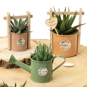 Bomboniere Linea Targa 2026 Vasetti portapiantina in metallo