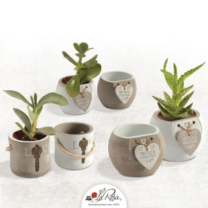 Bomboniere Solidali Matrimonio Quadrifoglio 2020  vasi Porta piantina grassa 