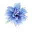 BLU