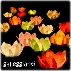 6 lanterne galleggianti colorate con candela