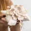 Bomboniere Eleganti con Fiore in Porcellana e Cuscino con Shopper e Confezione