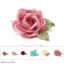 fiore rosa bocciolo alta qualita