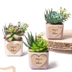 Bomboniere originali vaso con pianta grassa personalizzabile