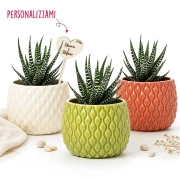 Bomboniera Vaso Porta Piantina grassa in Ceramica di design