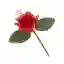 Rosellina per confezionamento Bomboniere colorata con cuoricino