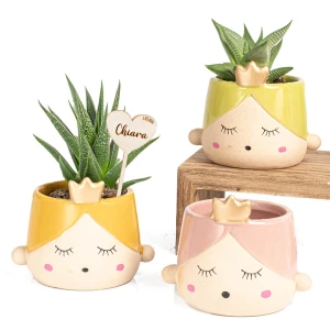 Bomboniere 2026 Vaso Portapiantina Piccola Principessa - Alta Qualità