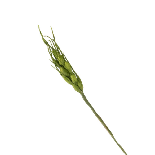 Spiga di grano finta , colore verde, ideale per confezionare bomboniere, misura 12 cm