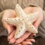 Bomboniere Linea Star 2027 Luce LED Stella marina in porcellana brillante