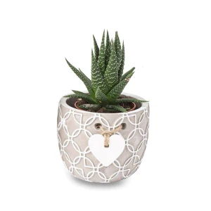 Bomboniere 2026 Linea Decoro Portapiantina Grande con cuore decorati