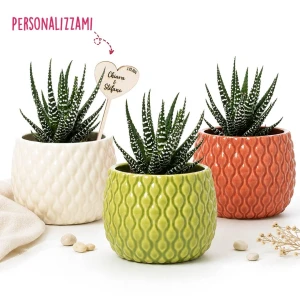 Bomboniera Vaso Porta Piantina grassa in Ceramica di design