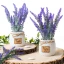 Bomboniere Vaso con Lavanda e targhetta personalizzata
