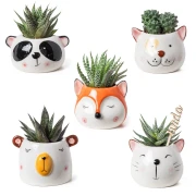 Bomboniere Vasi Porta Piantina grassa a forma di Animali