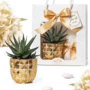 Bomboniere 2026 Vaso Portapianta Dorato in ceramica di design