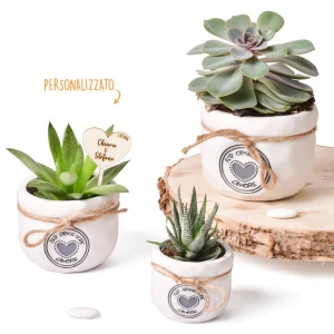 Bomboniere 2026 Linea Crescere Vaso porta piante Standard in terracotta con frase e cuore