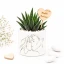 ⚡ OFFERTISSIMA Bomboniere Linea Beso 2027 Vasetto Portapiantina in Ceramica