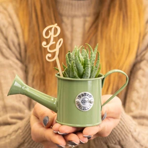 Bomboniere Linea Targa 2026 Vasetto portapiantina Annaffiatoio in metallo