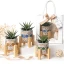 ⚡OFFERTISSIMA Bomboniere 2027 Linea Giglius Vaso Portapiantina con stand Standard con fantasia maioliche