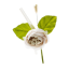 Fiore Pick Rosa per decorazione o confezionamento bomboniere