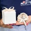 Idea bomboniera angioletto colore argento con cuore e stella