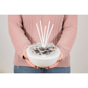 OFFERTA_TOP Regalo Profumatore Maxi in argento e porcellana