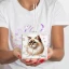 Bomboniere 2027 Tema Gatto Profumatore a LED Personalizzabile