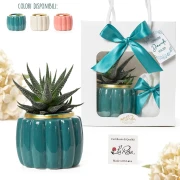 Bomboniera Elegante Vaso Porta Piantina in Ceramica con Bordo Oro