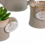 Idea Bomboniera Green Vaso Annaffiatoio Porta Piantina 