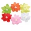 6 lanterne galleggianti colorate con candela